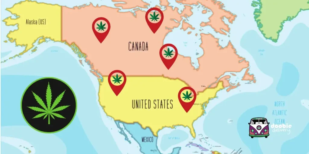 Top 10 Cannabis Conferences: Your ultimate guide to must-attend Events in 2024