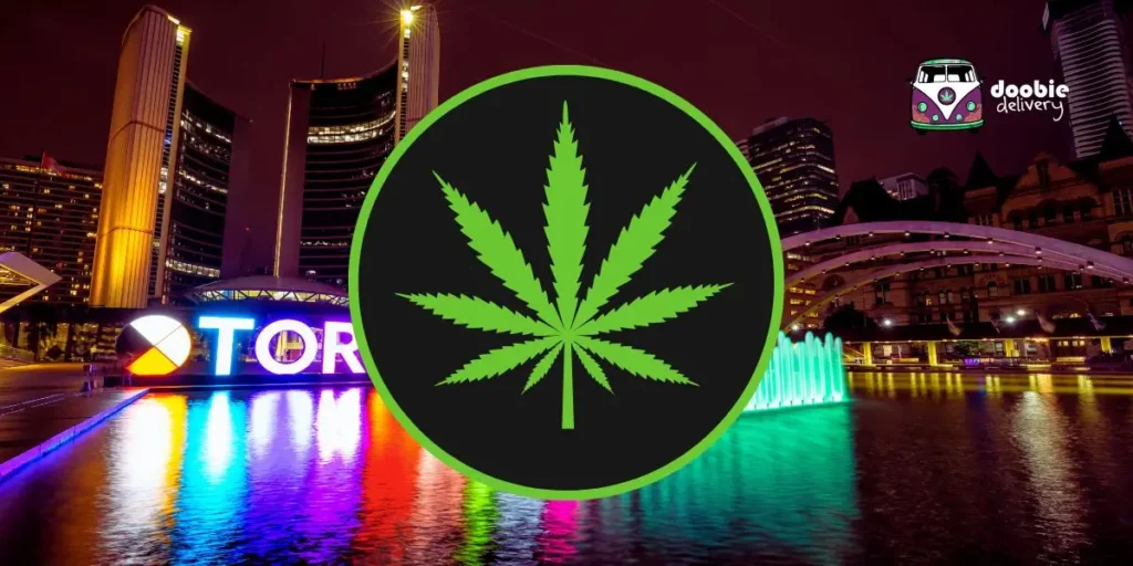 Top 10 Weed Delivery Services in Toronto for 2024