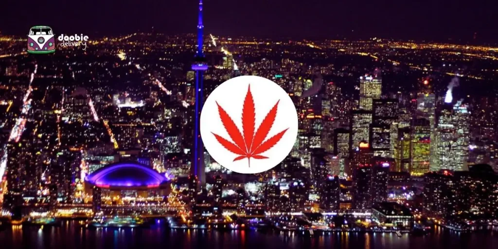 24/7 Weed Delivery Toronto: Late Night Cannabis Options